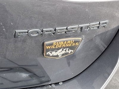 2025 Subaru Forester Wilderness