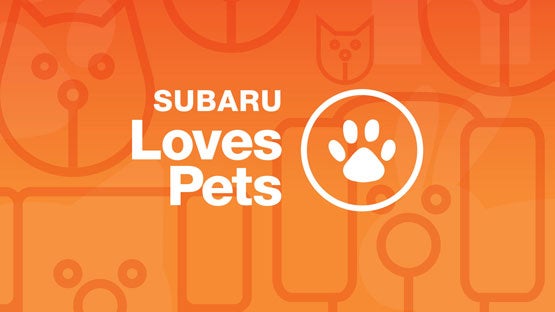 Mid-Hudson Subaru in Wappingers Falls NY