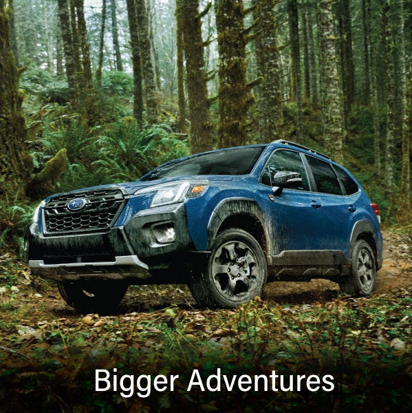 A blue Subaru outback wilderness with the words &ldquo;Bigger Adventures&ldquo;. | Mid-Hudson Subaru in Wappingers Falls NY