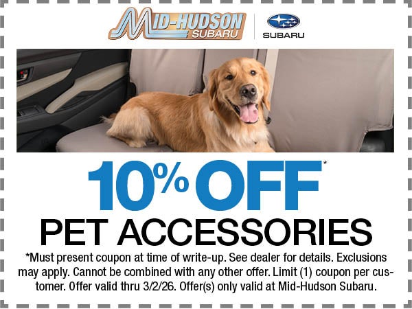 10% Off Pet Accessories